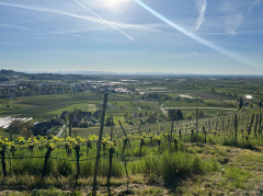 2026-04-27 10_26_35-Microsoft Office 2010.png