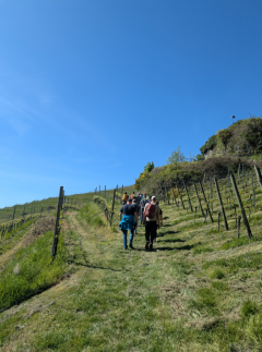 2026-04-27 10_27_34-Microsoft Office 2010.png