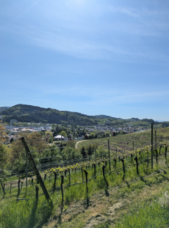 2026-04-27 10_27_47-Microsoft Office 2010.png