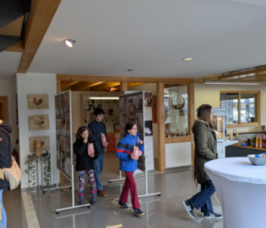 2026-03-18 16_38_58-Microsoft Office 2010.png